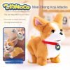 Flying Dog MOCO Plush Toy...
Moco pet dog toy