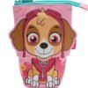 SMIGGLE PAW PATROL PENCIL CASE sky
