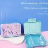 Frozen bento lunch box